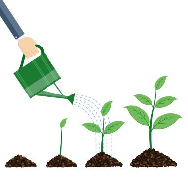 Sulama olabilir ve bitkiler.