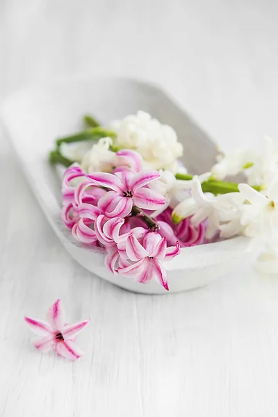 White and pink hyacinth flowers .Spa setting — Stock Photo, Image