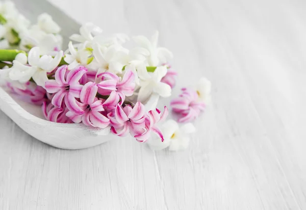 Weiße und rosa Hyazinthenblüten. — Stockfoto