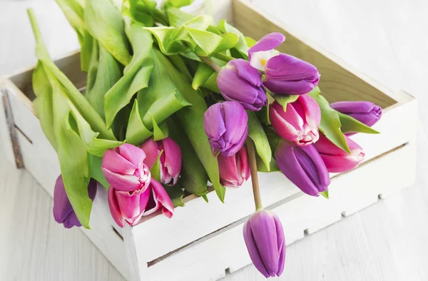 Tulipes violettes et roses dans une boîte blanche en bois — Photo
