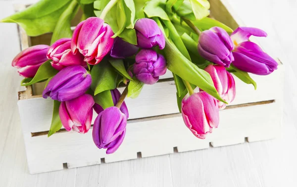 Tulipas roxas e rosa em uma caixa branca de madeira — Fotografia de Stock