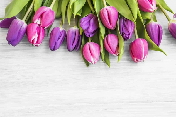 Tulipes roses et violettes sur bois peint blanc — Photo