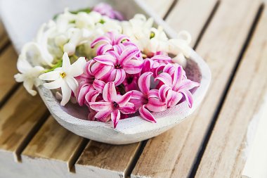 Spa çiçekler ile sümbül ayarlama