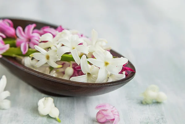 Spa blommor med hyacint — Stockfoto