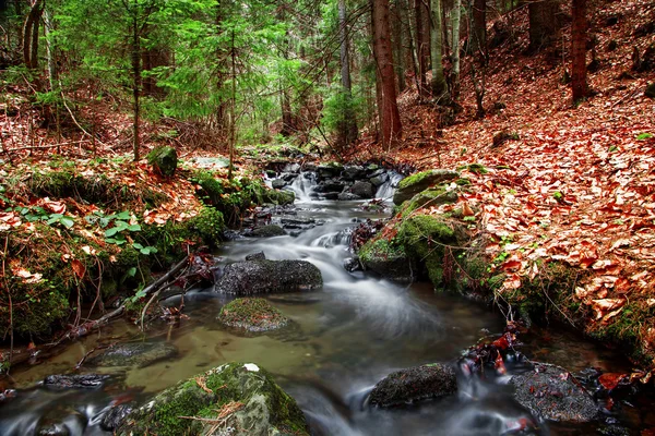 Forest spring in seasons transition — Stock Photo, Image