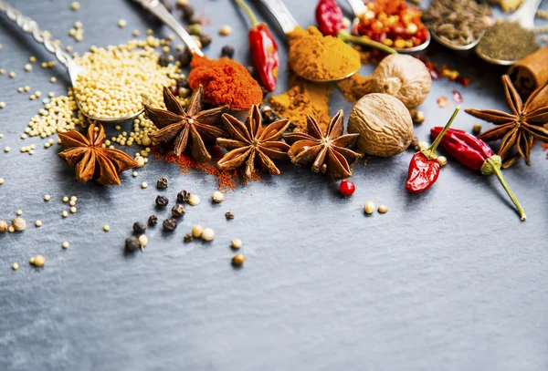 Indiai fűszerek, fahéj, ánizs, koriander, kömény, chili, peppe — Stock Fotó