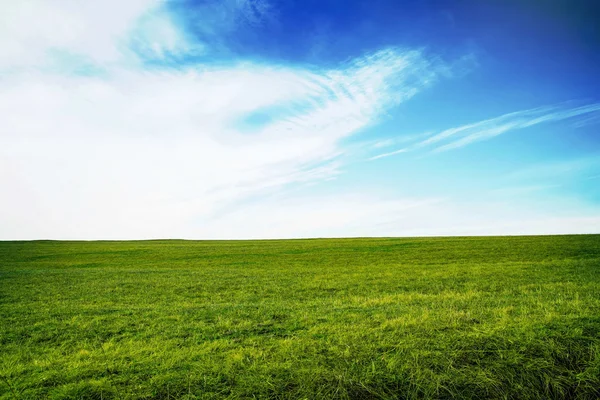 Πράσινο λιβάδι με φρέσκο χόρτο με το γαλάζιο του ουρανού — Φωτογραφία Αρχείου