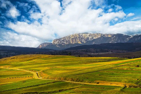 Paysage de montagne avec champ vert et rocher de montagne — Photo