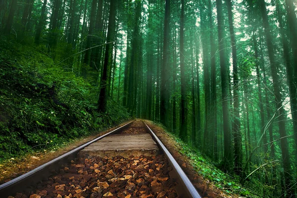 Ferrovia in verde foresta nebbiosa — Foto Stock