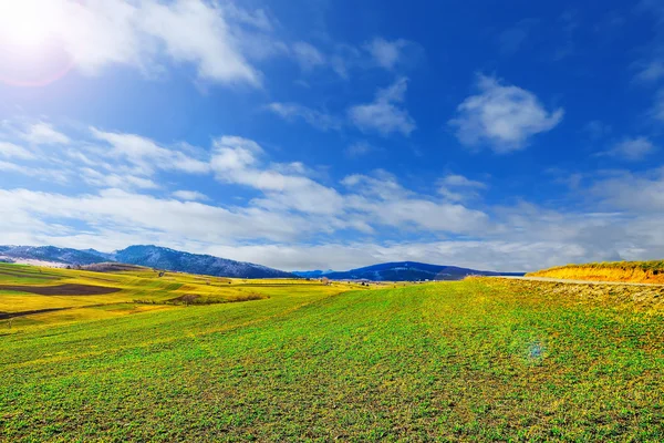 Paysage avec prairie verte et ciel bleu — Photo