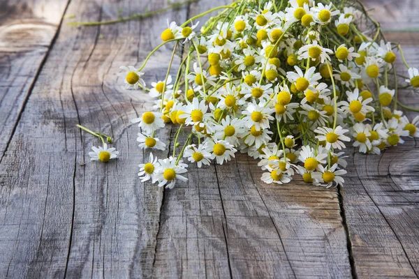 Květy heřmánku na dřevěné pozadí — Stock fotografie