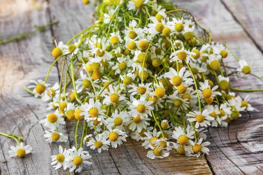 Papatya çiçek buketi