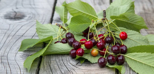 Cerejas.Frutas suculentas de verão com folhas — Fotografia de Stock