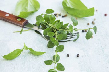 Kekik ot çatal, fesleğen ve biber ile