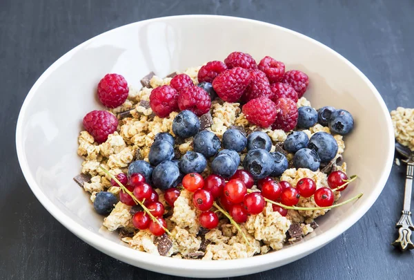 Bowl of healthy muesli with fresh berries — Stock Photo, Image