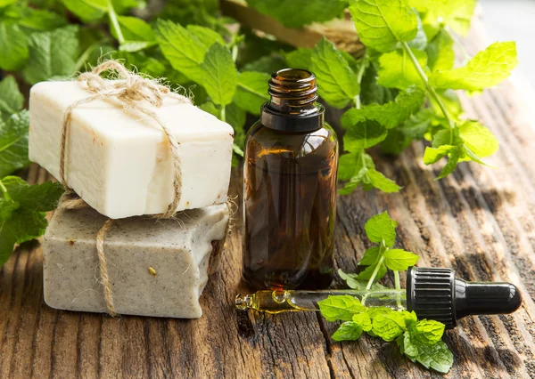 Spa natural de menta con jabón hecho a mano, aceite de menta y hojas — Foto de Stock