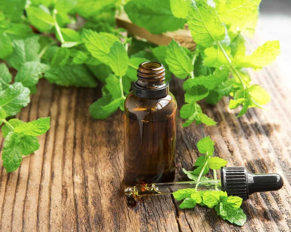 Mint oil/essence in black bottle with mint leaves — Stock Photo, Image