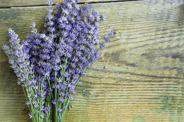 Lavender bunch on rustic wooden background — Stock Photo, Image