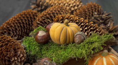 Moss, kestane, kabak ile sonbahar dekorasyon konisi ve