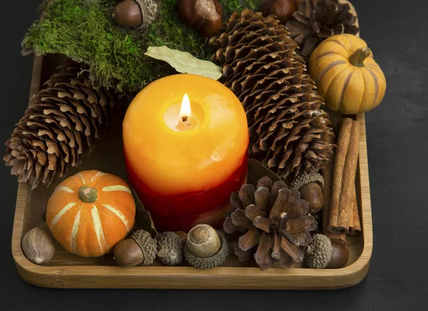 Decoração de vela de outono com cones, paus de canela, bolotas, anis — Fotografia de Stock