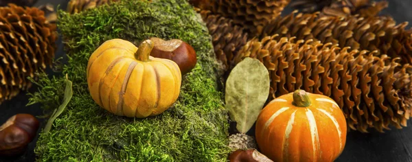 Decoración de otoño con calabaza en el musgo, castañas, conos y — Foto de Stock