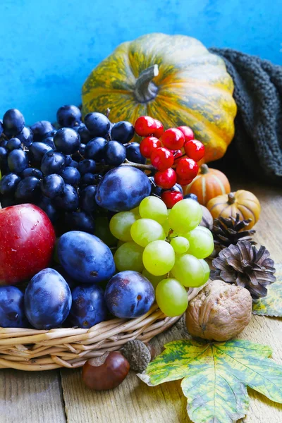 Surtido de frutas de otoño con uvas, ciruelas, manzanas y nueces — Foto de Stock