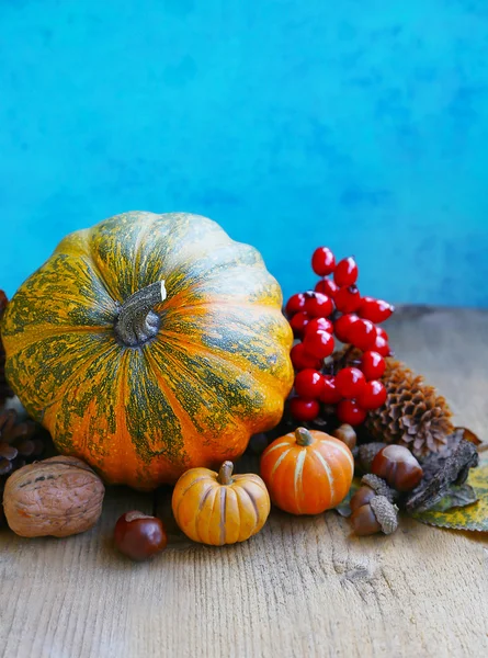 Zierkürbisse, Zapfen und Nüsse im Herbst — Stockfoto