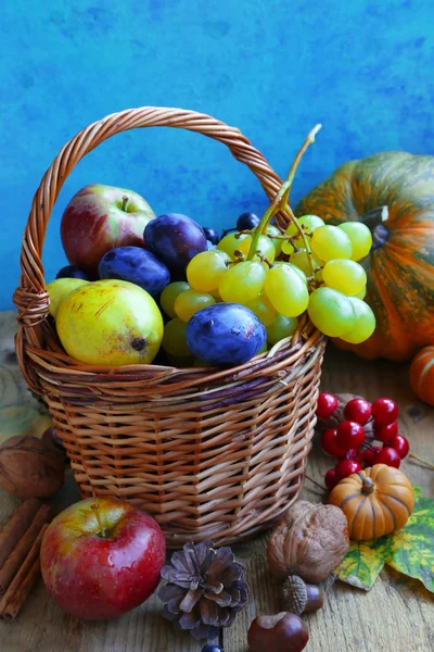 Autumn fruits assortment basket with grapes, plums, pears and ap — Stock Photo, Image