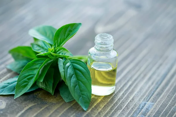 Essential Oil Bottle Basil Herb Ocimum Basilicum Stock Photo