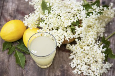 Taze elderflower ve limonata veya limonata, taze limon ve çiçekli ev yapımı sağlıklı antioksidan mayalanmış meyve suyu.