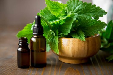 Naneli bitkiler, nane yapraklı yağ şişeleri.