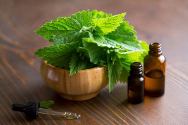 Naneli bitkiler, nane yapraklı yağ şişeleri.