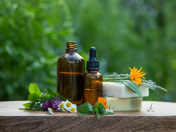 Fresh herbs, oil bottles and natural soap for aromatherapy, massage and spa, medicinal plants and herbs composition outside in the garden, natural spa, natural ingredients
