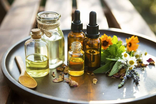 Alternatieve Geneeskunde Helende Kruiden Oliën Kruiden Aromatherapie Oliën Met Geneeskrachtige — Stockfoto