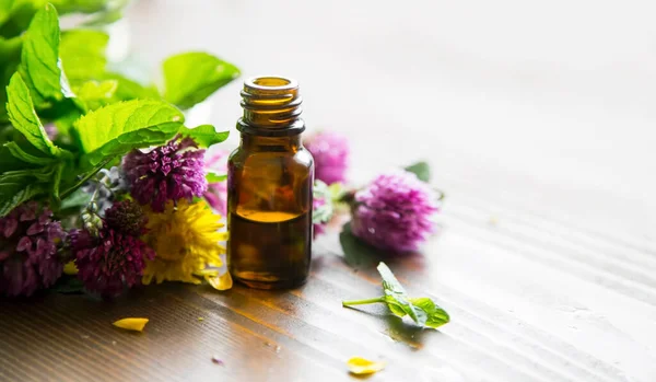 Aromaterapi Gerekli Yağ Şişesi Bitkisel Bitkiler Yağ — Stok fotoğraf