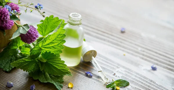 Medicina Alternativa Aceite Hierbas Curativas Aceite Aromaterapia Hierbas Verdes Con — Foto de Stock