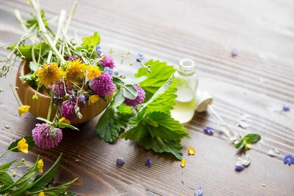 Alternativ Medicin Läkande Örtolja Grön Örtaromaterapi Olja Med Medicinalväxter Och — Stockfoto