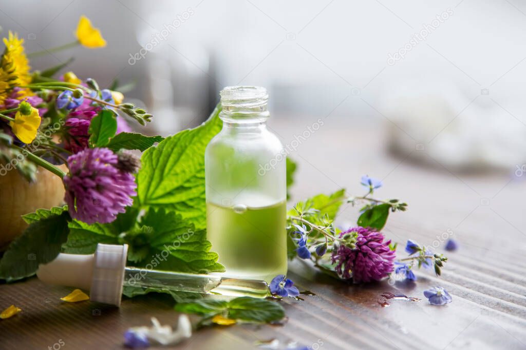 Aromatherapy essential oil bottle, herbal plants and oil