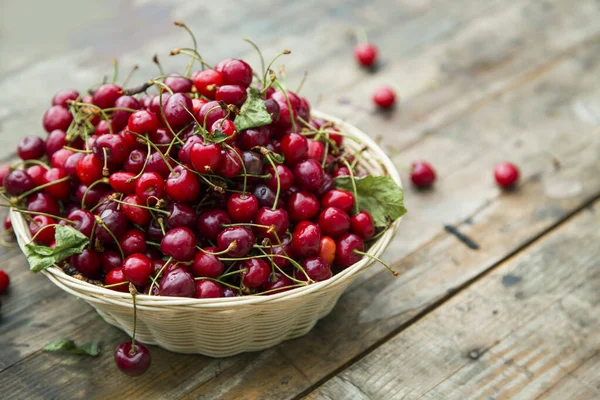 Kirsche Bio Beeren Ernten Frische Kirschen Für Marmelade Saft Smoothie — Stockfoto