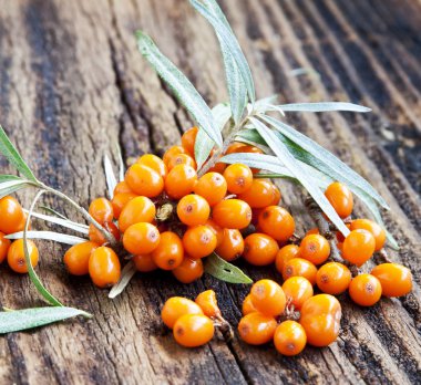 seabuckthorn çilek
