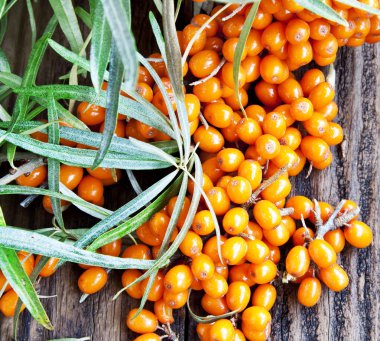 seabuckthorn çilek