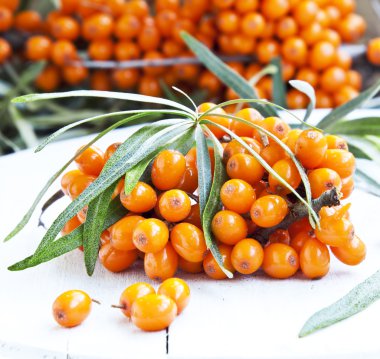 seabuckthorn çilek