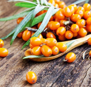 seabuckthorn çilek
