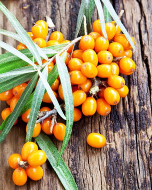 seabuckthorn çilek