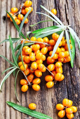 seabuckthorn çilek