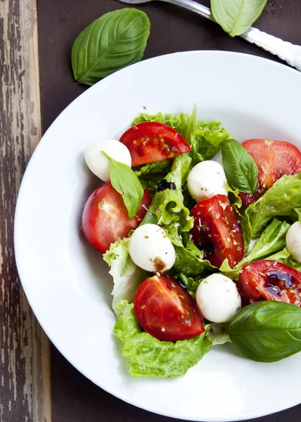 Mozarella und Tomatensalat mit Basilikum und Salat — Stockfoto