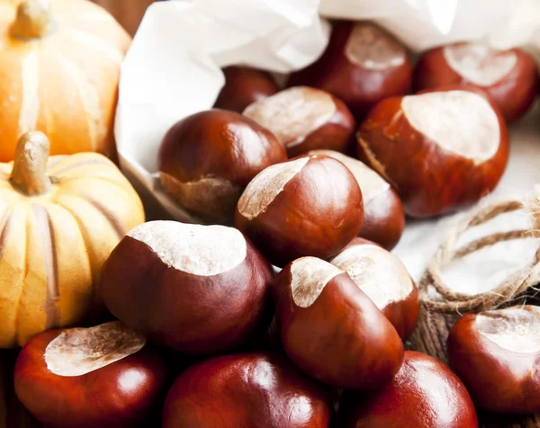 Autumn Chestnuts — Stock Photo, Image
