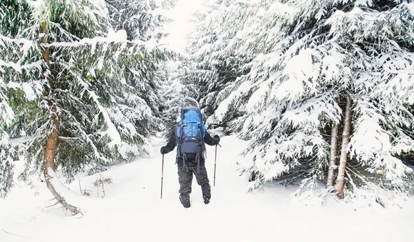 Winter Hiking — Stock Photo, Image