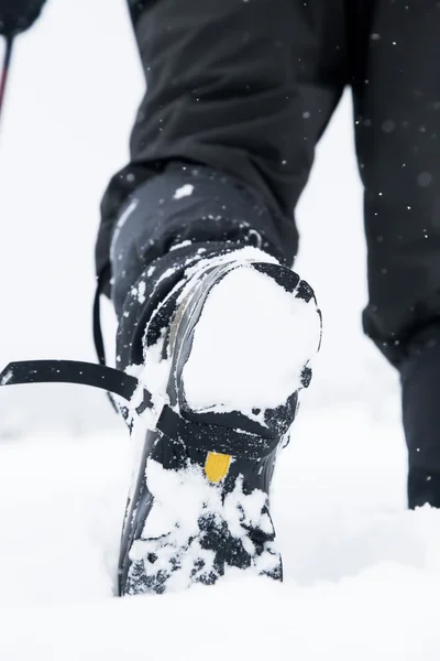 Winterwandelen — Stockfoto