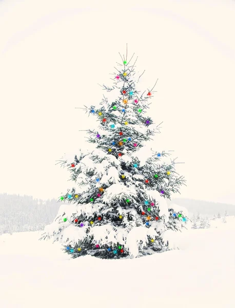 Christmas Tree Outdoor — Stock Photo, Image